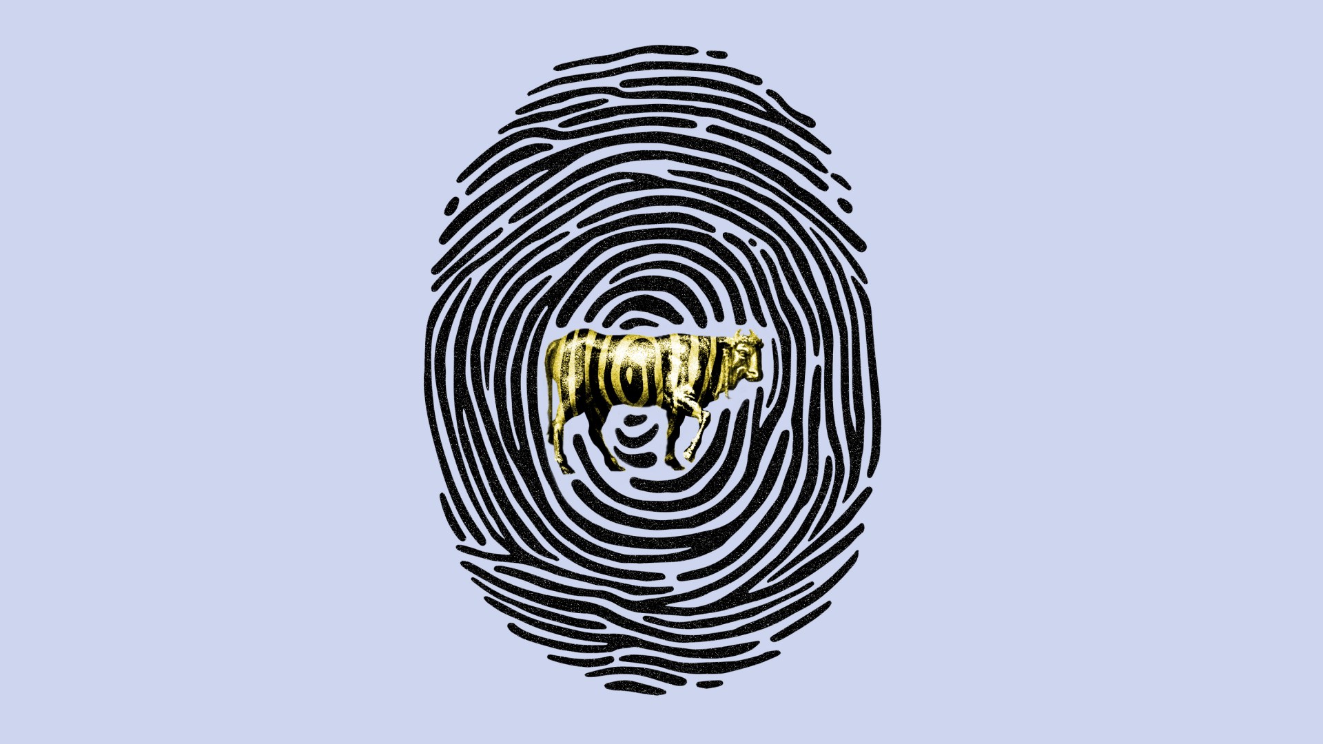 Sebuah sidik jari yang menampilkan gambar anak sapi emas.